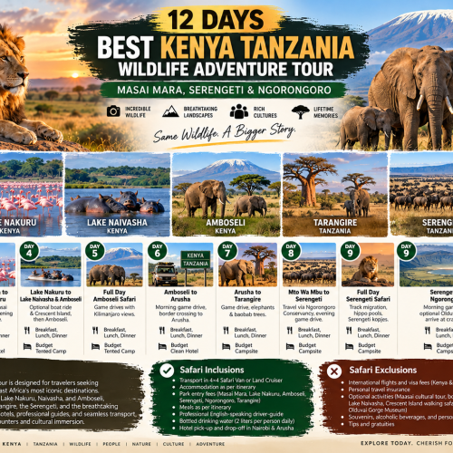 12 Days Best Kenya Tanzania Wildlife Adventure Tour