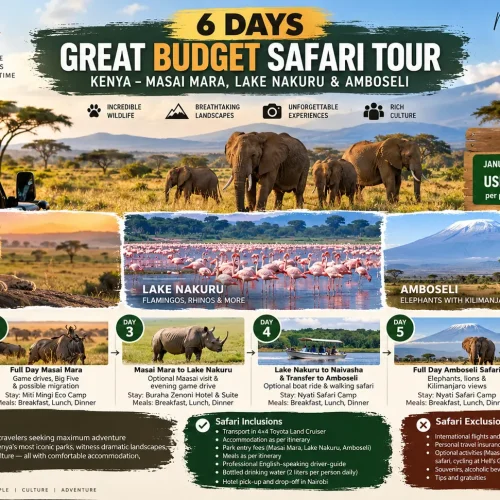 6 Days Great Budget Safari Tour